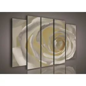 Vászonkép, 5 darabos Rózsa 150x100 cm méretben