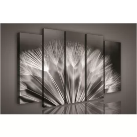 Vászonkép, 5 darabos Pitypang 150x100 cm méretben