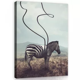 Vászonkép, Zebra, 75x100 cm méretben