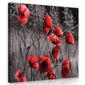 Piros  pipacsok, vászonkép 80x80 cm méretben