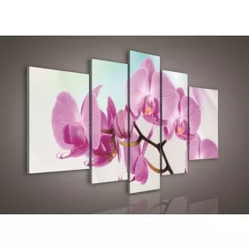 Vászonkép, 5 darabos, Orchidea 170x100 cm méretben