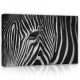 Zebra, vászonkép, 60x40 cm méretben