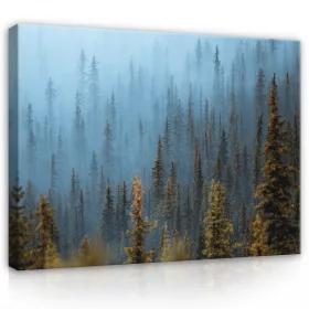 Vászonkép, Ködös erdő, 80x60 cm méretben