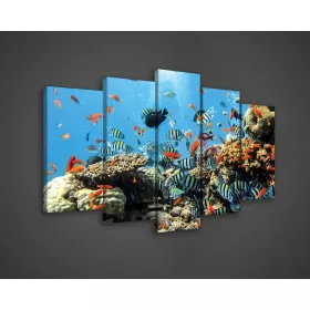   Vászonkép 5 darabos, Tengeri élővilág 100x60 cm méretben