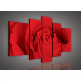 Vászonkép, 5 darabos, Vörös rózsa 170x100 cm méretben
