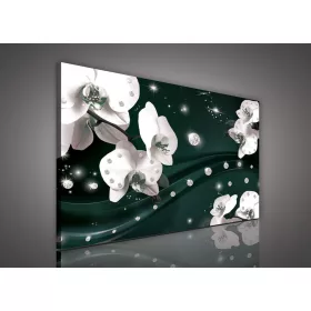 Vászonkép, Orchidea zöldes háttéren, 80x60 cm méretben