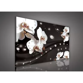   Vászonkép, Orchidea sötét háttéren, 100x75 cm méretben