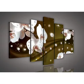   Vászonkép, 5 darabos, Orchideák gyöngyökkel 170x100 cm méretben