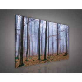 Vászonkép, Erdő, 100x75 cm méretben