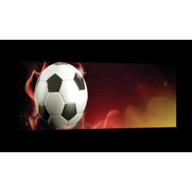 Focilabda, vászonkép, 145x45 cm méretben