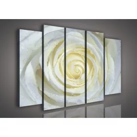 Vászonkép, 5 darabos Fehér rózsa 150x100 cm méretben