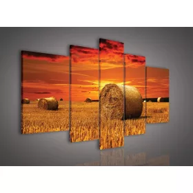 Vászonkép, 5 darabos, Szalmabálák 170x100 cm méretben