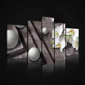   Vászonkép, 5 darabos, Orchidea gömbökkel 170x100 cm méretben