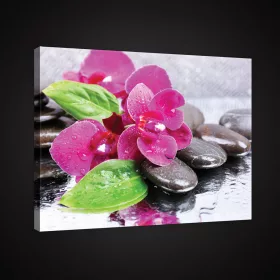   Vászonkép, Rózsaszín orchidea köveken, 100x75 cm méretben