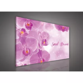 Vászonkép, Sweet Dreams Orchidea 100x75 cm méretben