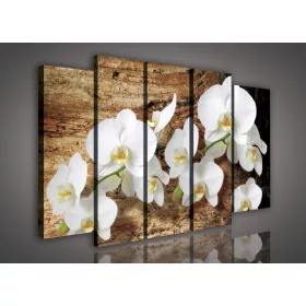 Vászonkép, 5 darabos Orchideák 150x100 cm méretben