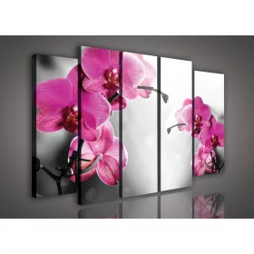 Vászonkép, 5 darabos Orchideák 150x100 cm méretben