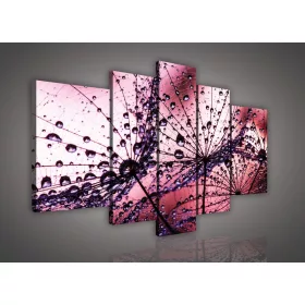 Vászonkép, 5 darabos, Pitypang 170x100 cm méretben