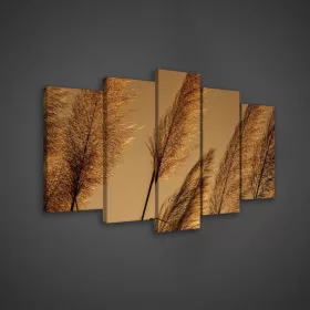 Vászonkép 5 darabos nád virág 100x60 cm méretben