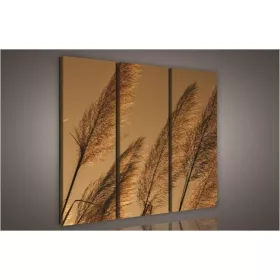 Nád, 3 darabos vászonkép, 90x80 cm méretben