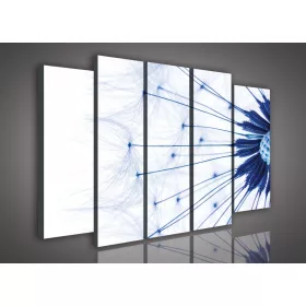 Vászonkép, 5 darabos Pitypang 150x100 cm méretben