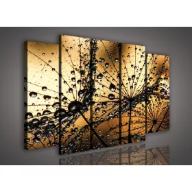   Vászonkép, 5 darabos Vízcseppes pitypang 150x100 cm méretben