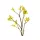 Virág 221 Sárga