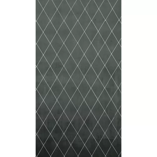 Margo Pierre Cardin bársony sötétítő függöny Világosszürke/ezüst 140x250 cm