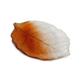   Sava dekoratív üveg tál Narancssárga/átlátszó 35x24x3 cm