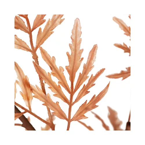 Virág 701 Narancssárga