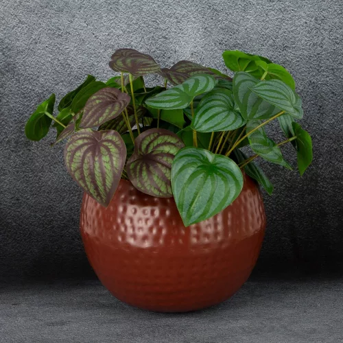 Fém virágtartó edény domború felszínnel Barna 20x20x20 cm