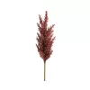 Pampafű művirág 304 burgundi vörös