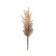 Pampafű művirág 304 krémszín