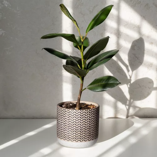 Keri kerámia kaspó Krémszín/bézs 11x11x10 cm