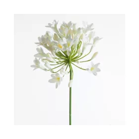 Virág 389 Krémszín