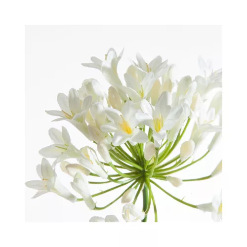 Virág 389 Krémszín