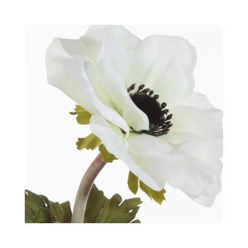 Szellőrózsa művirág 390 Fehér