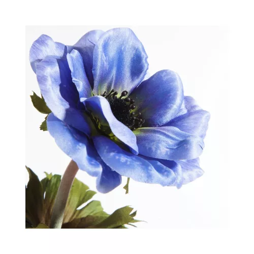 Szellőrózsa művirág 390 Sötétkék