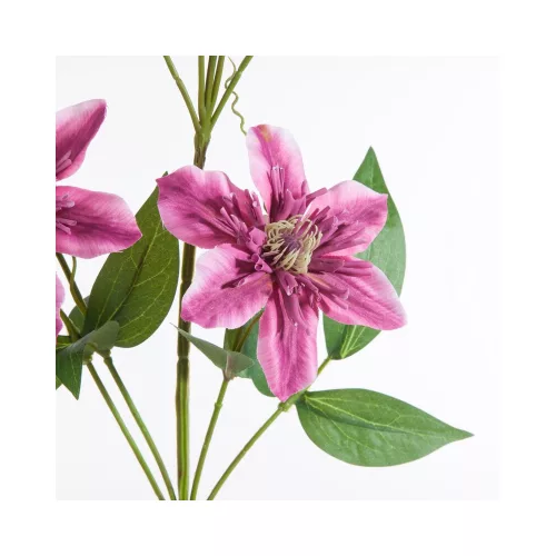 Iszalag művirág 393 Magenta