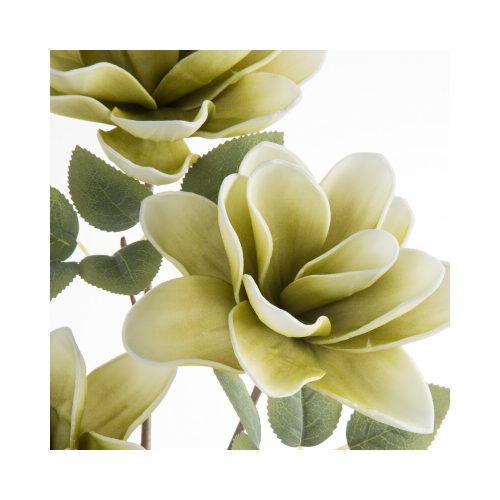 Magnólia művirág 752 Világoszöld