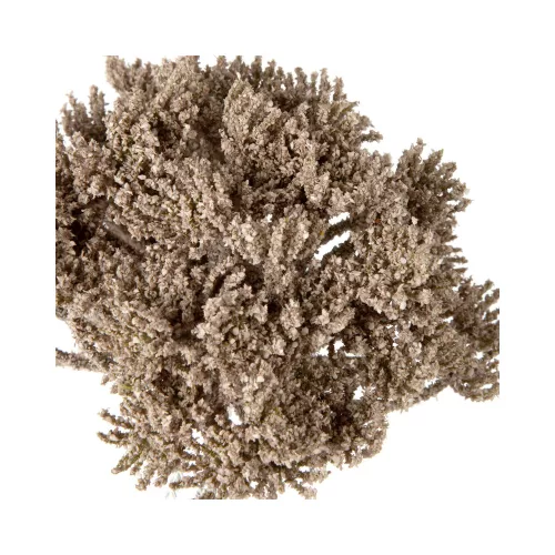 Művirág 416 Sötét bézs