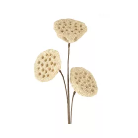 Mű lótusz termés 419 Krémszín