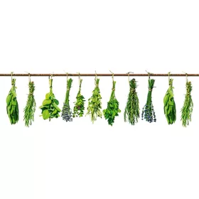 HERBS öntapadós konyhai poszter, 180x60 cm