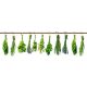 HERBS öntapadós konyhai poszter, 180x60 cm