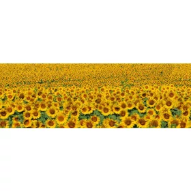 SUNFLOWERS öntapadós konyhai poszter, 180x60 cm