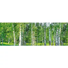 BIRCH GROW öntapadós konyhai poszter, 180x60 cm