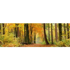 AUTUMN FOREST öntapadós konyhai poszter, 180x60 cm