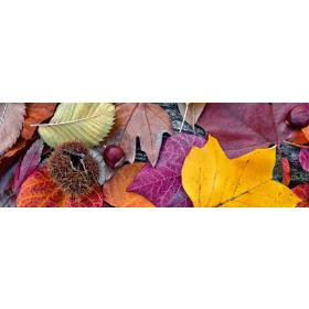 AUTUMN LEAVES öntapadós konyhai poszter, 180x60 cm