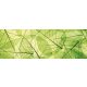LEAF VEINS öntapadós konyhai poszter, 180x60 cm