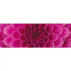 PINK DAHLIA öntapadós konyhai poszter, 180x60 cm